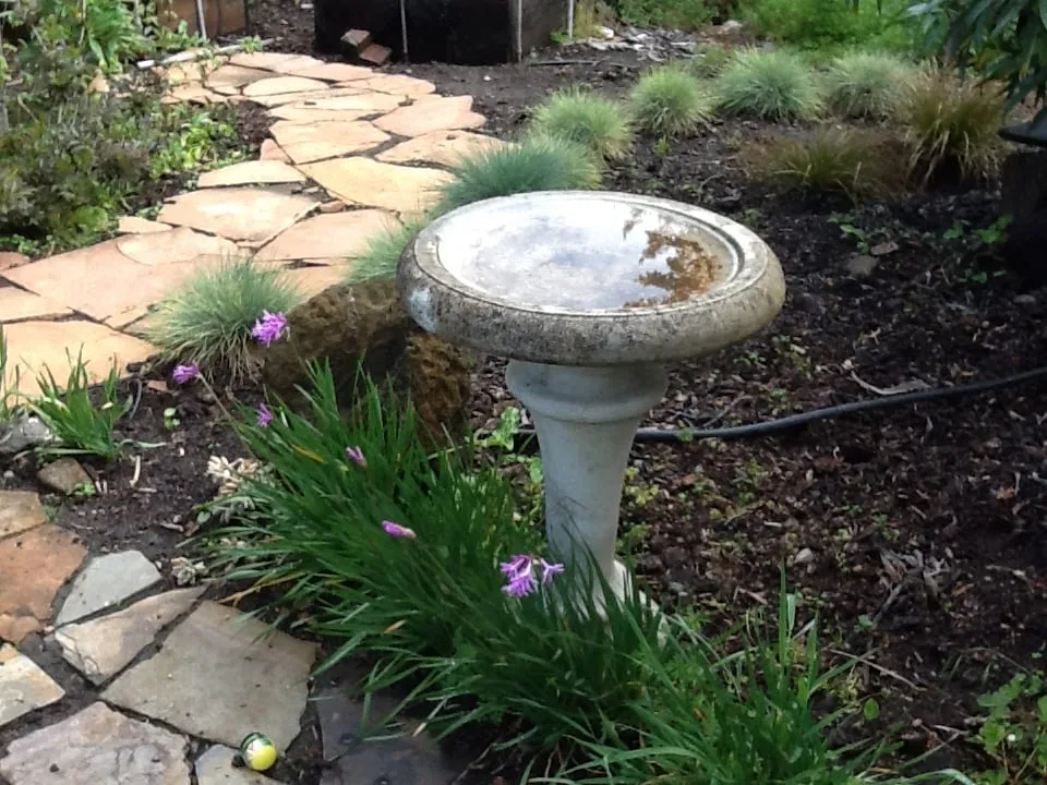 Top-rated residential landscaping for residential properties across Aptos, CA - Cherie Bobbe Landscape Design