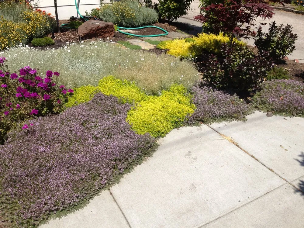 Professional outdoor landscaping experts serving Aptos, CA - Cherie Bobbe Landscape Design
