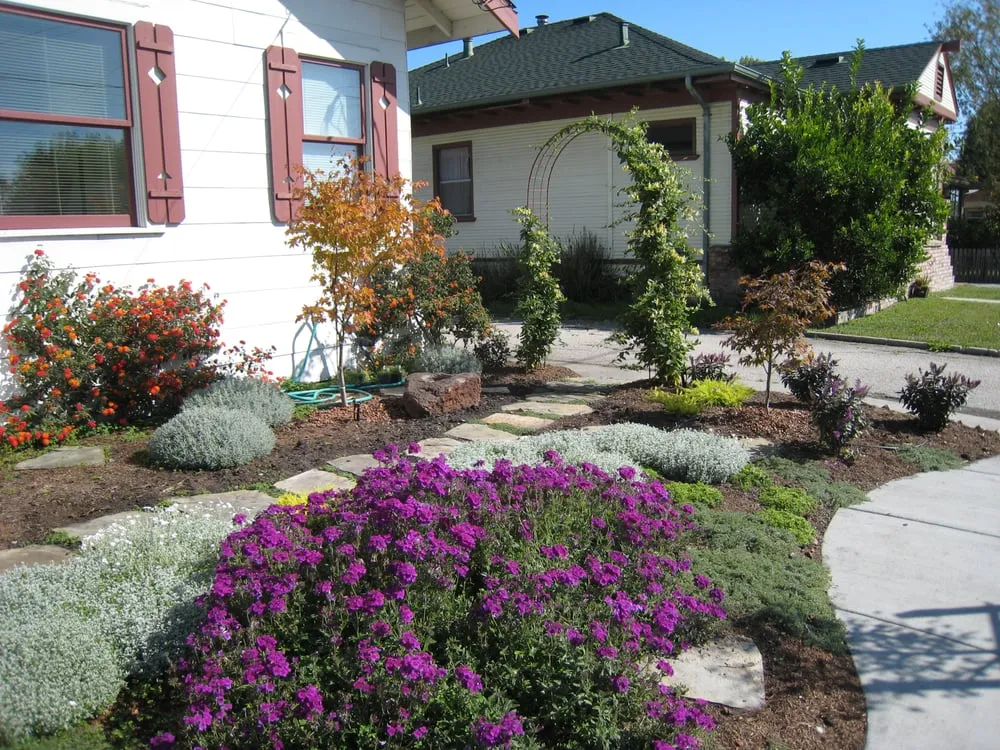 Affordable yard cleanup service in Aptos, CA - Cherie Bobbe Landscape Design