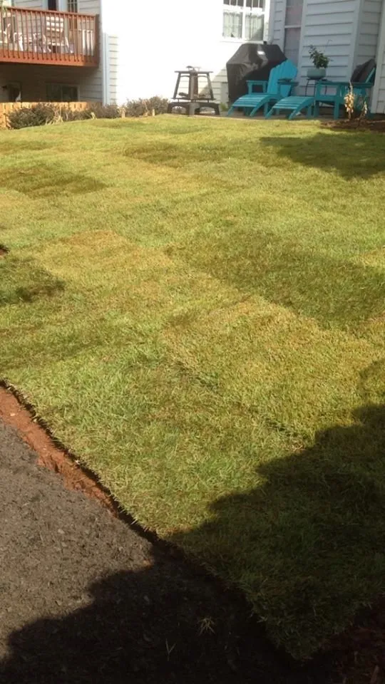 Reliable lawn care service for beautiful yards in Woodstock, GA by Cherokee Landscapers