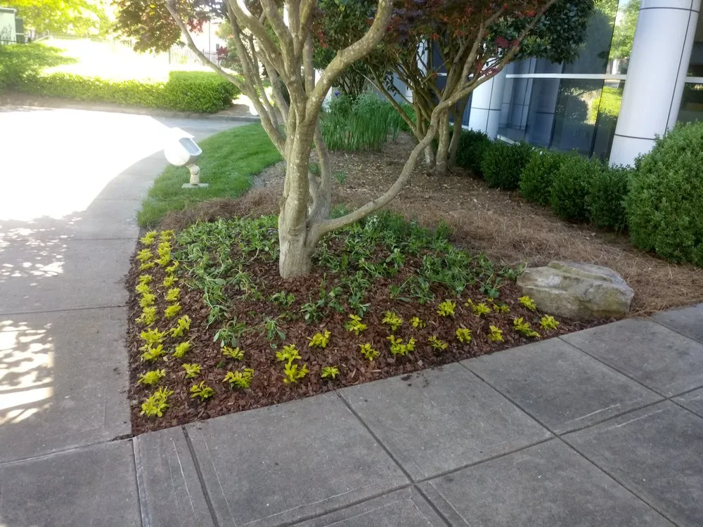 Local yard maintenance for year-round maintenance in Woodstock, GA by Cherokee Landscapers