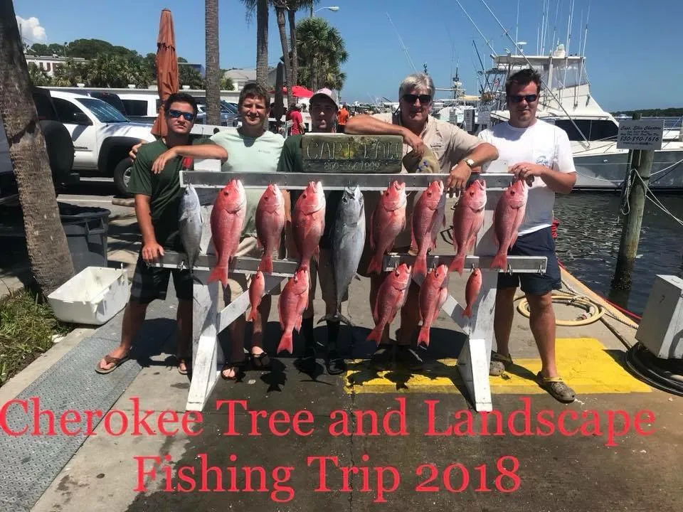 Reliable residential landscaping near you across Woodstock, GA - Cherokee Tree & Landscape