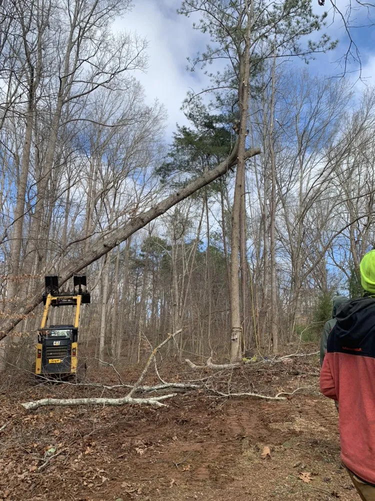 Professional outdoor landscaping in Woodstock, GA - Cherokee Tree & Landscape