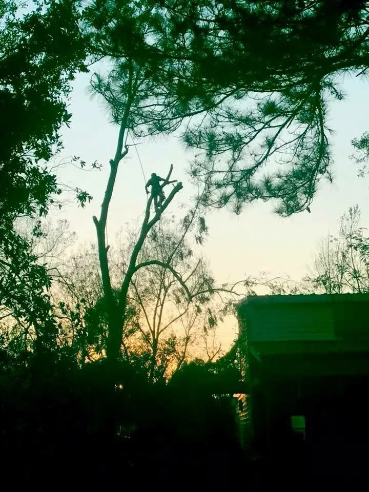 Reliable landscape installation in Woodstock, GA - Cherokee Tree & Landscape