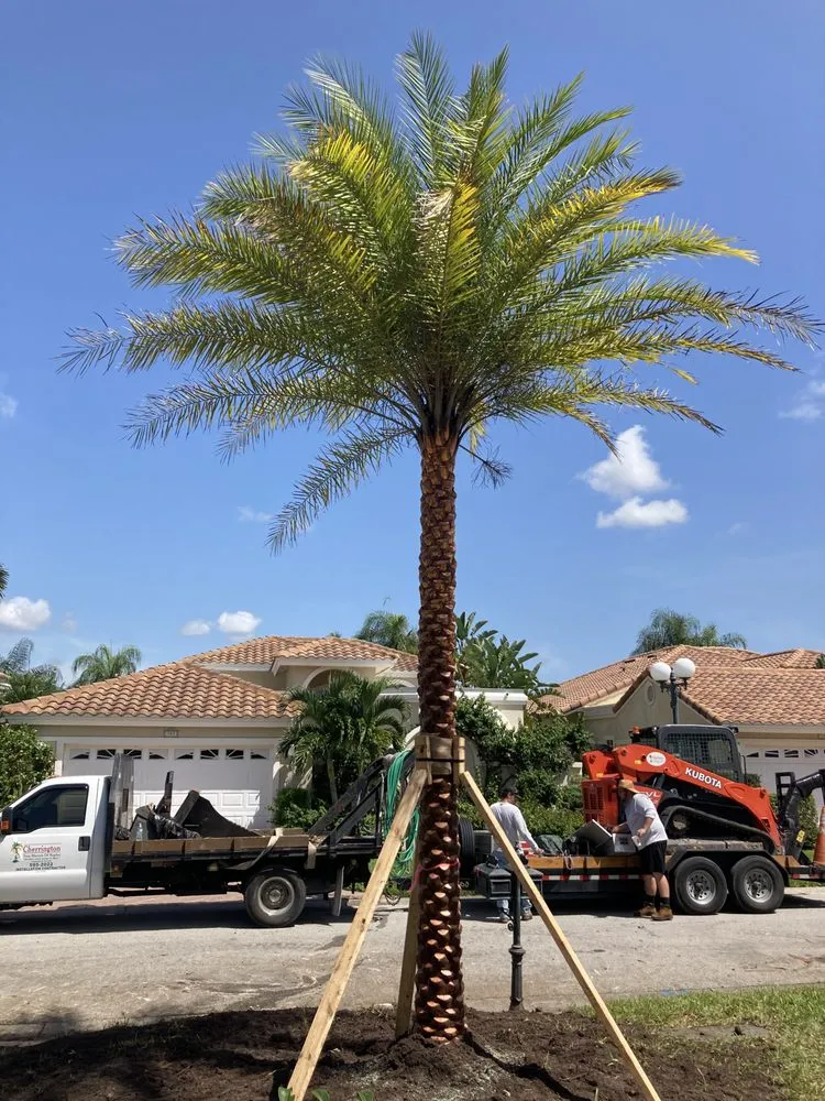 Professional lawn mowing service with custom design in Naples, FL by Cherrington Treemovers