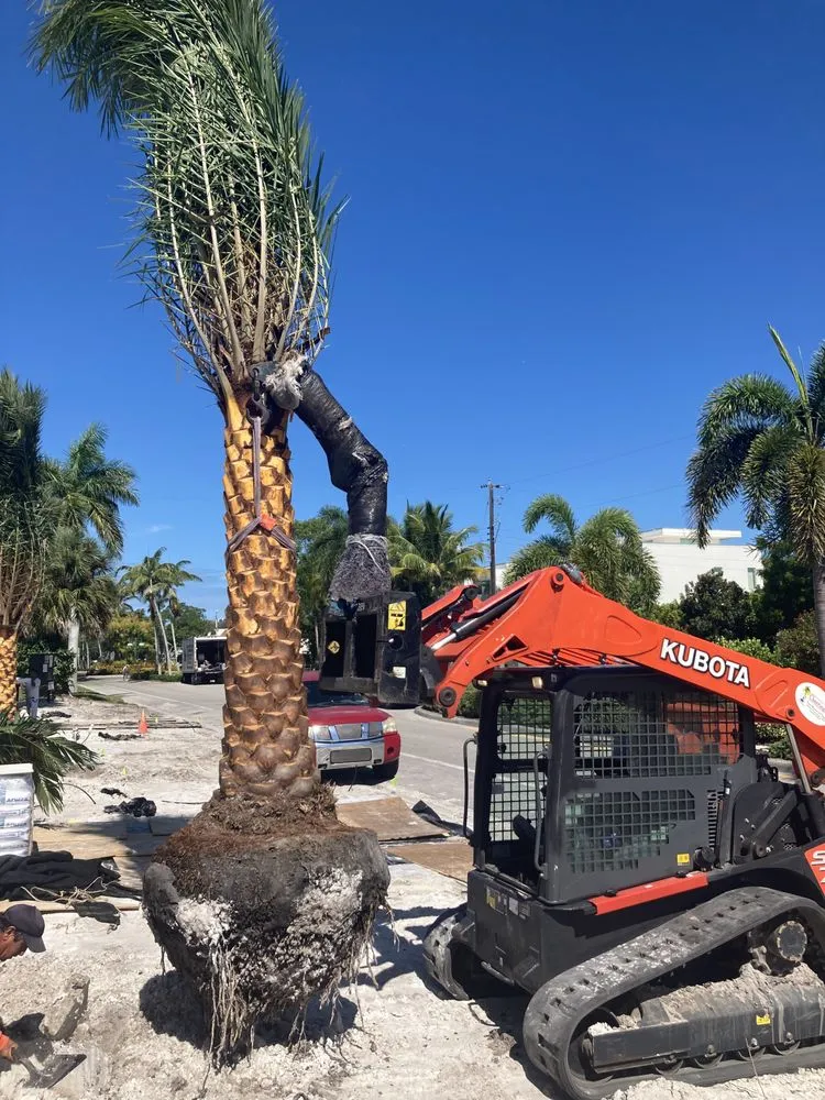 Trusted landscape design with custom design across Naples, FL - Cherrington Treemovers