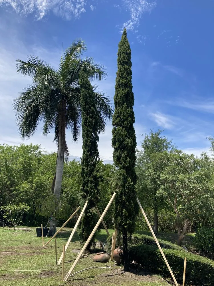 Reliable residential landscaping for outdoor upgrades in Naples, FL by Cherrington Treemovers