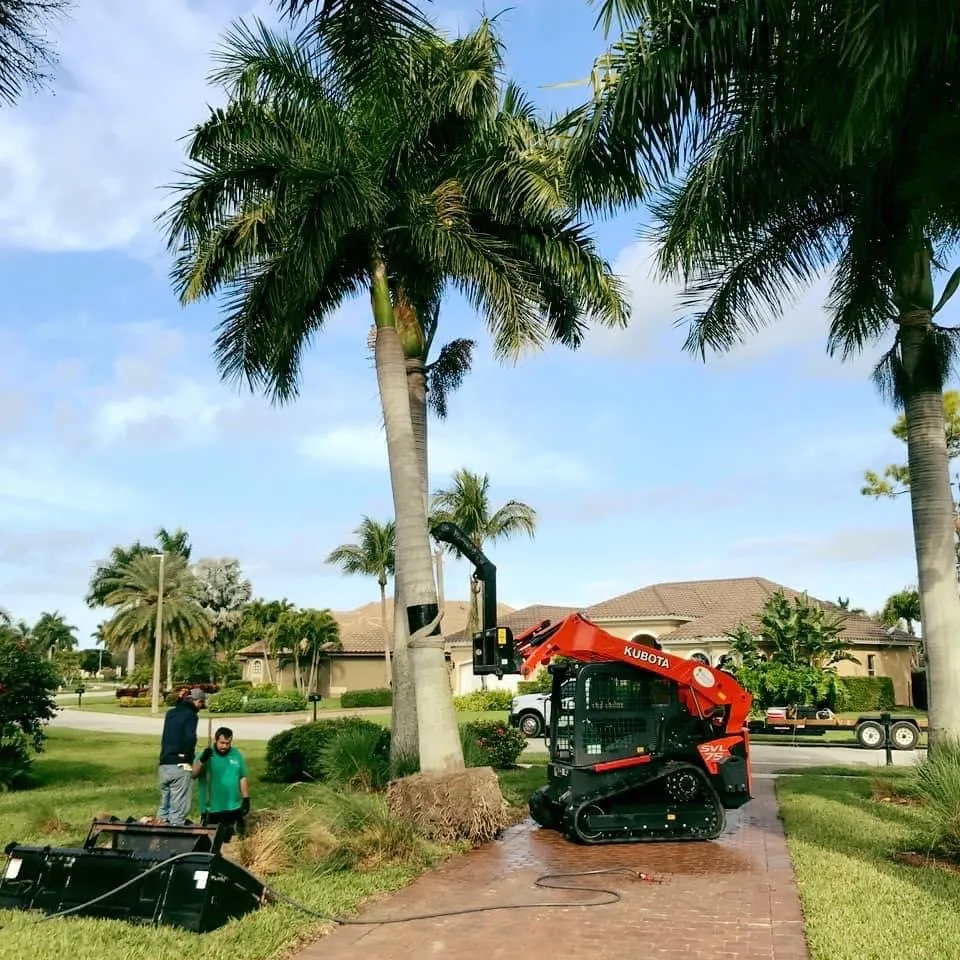 Expert yard maintenance in Naples, FL - Cherrington Treemovers