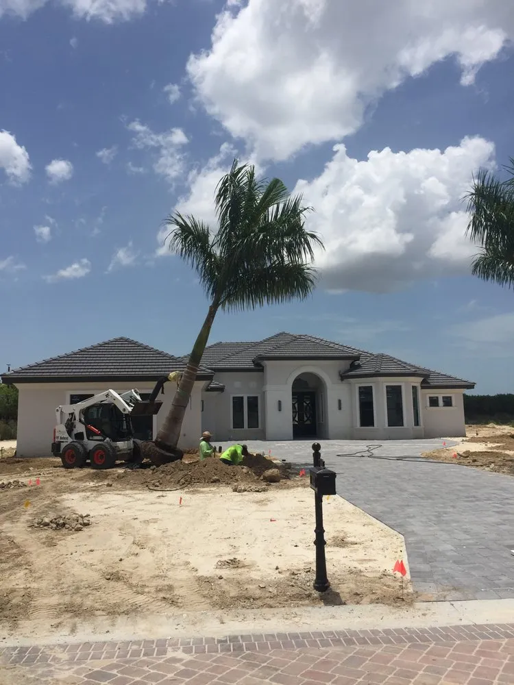 Reliable landscape installation experts serving Naples, FL - Cherrington Treemovers