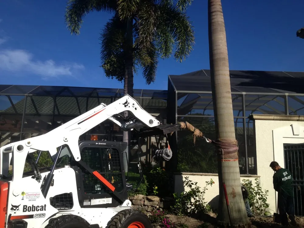 Reliable lawn care service for homes in Naples, FL by Cherrington Treemovers