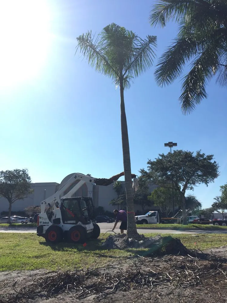 Professional landscape design in Naples, FL by Cherrington Treemovers