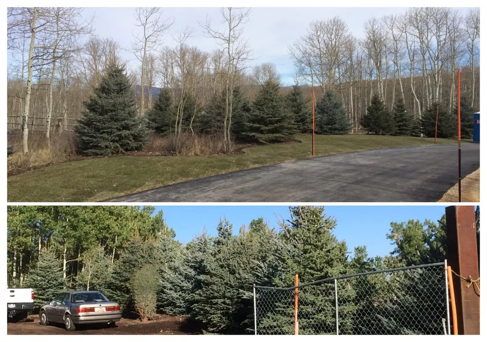 Custom yard cleanup service for homes across Herriman, UT - Cherry Brothers Landscape