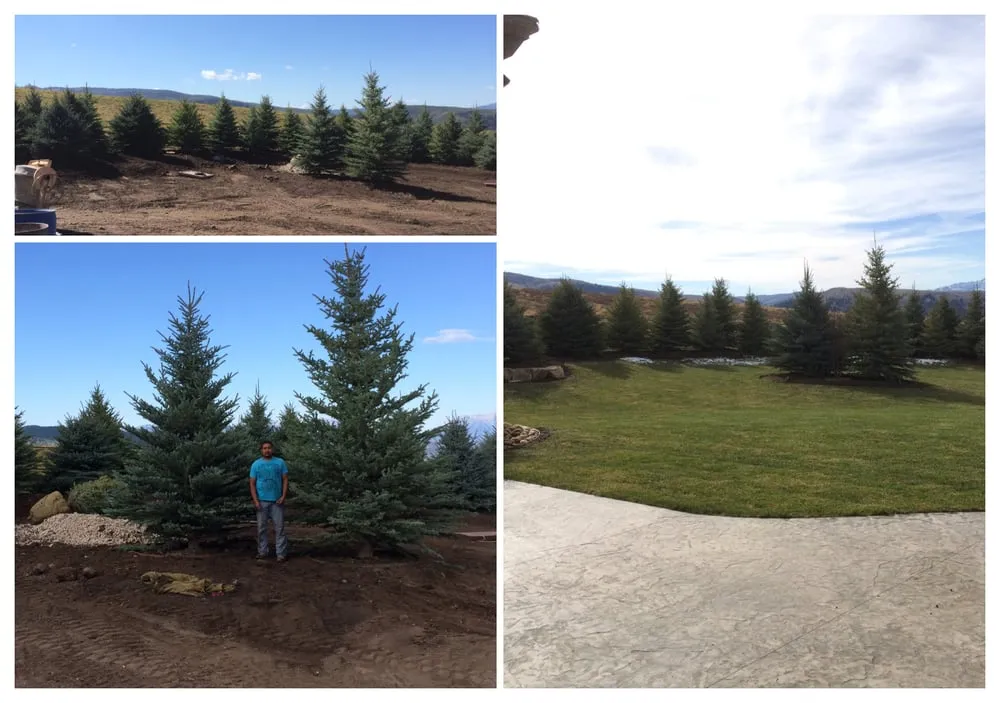 Reliable landscape installation for residential properties in Herriman, UT by Cherry Brothers Landscape