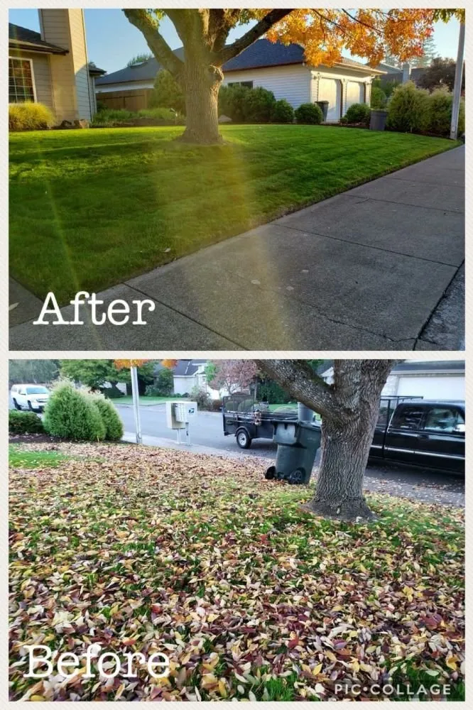 Local landscape design for beautiful yards across Salem, OR - Cherry City Landscape