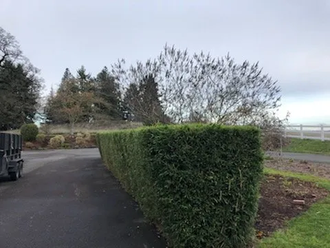 Reliable lawn care service experts serving Salem, OR - Cherry City Landscape