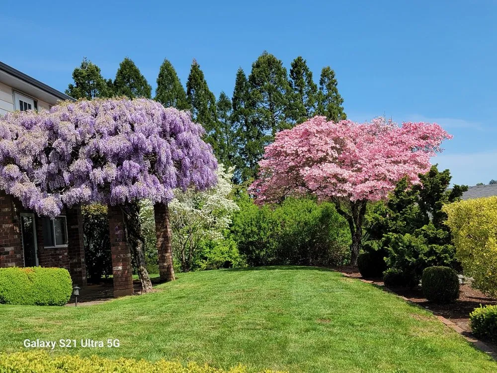Top-rated residential landscaping with custom design in Salem, OR by Cherry City Landscape