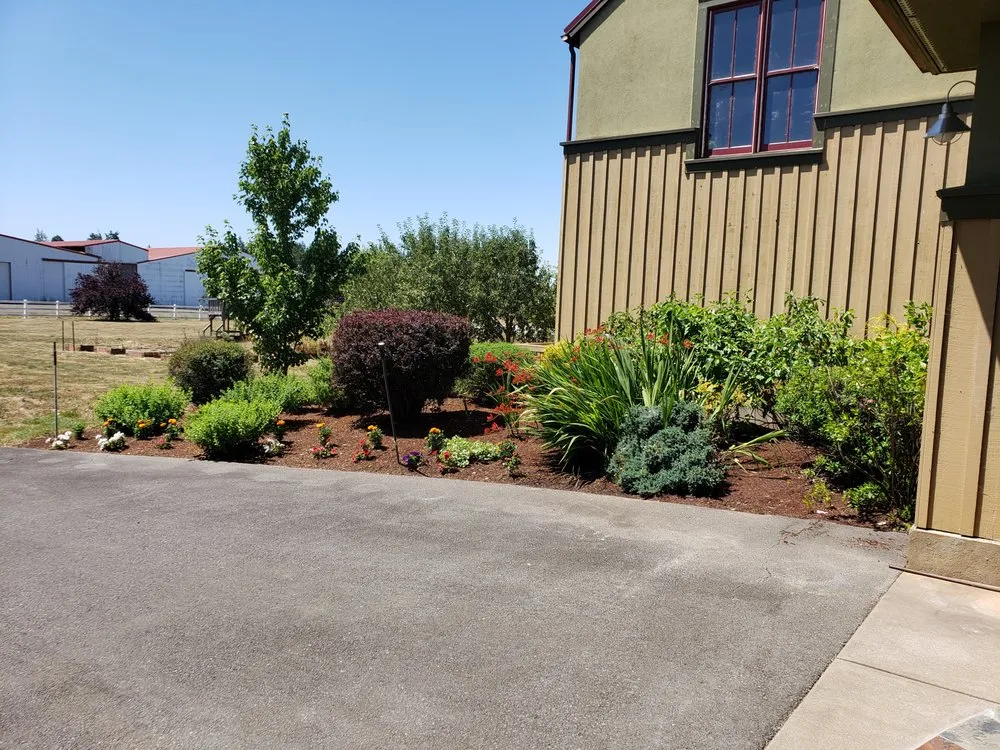 Professional yard cleanup service in Salem, OR by Cherry City Landscape