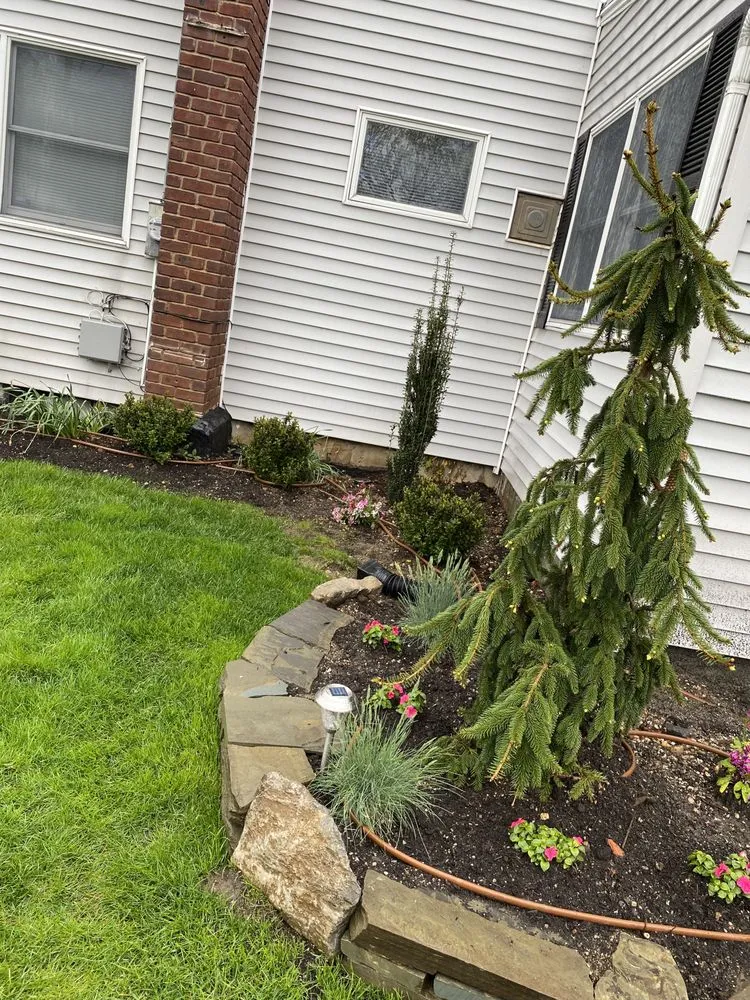Trusted lawn care service experts serving Massapequa, NY - Cherry Creek Landscaping
