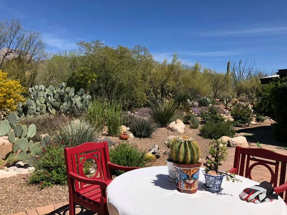 Trusted lawn mowing service with custom design across Tucson, AZ - Cherry Landscape