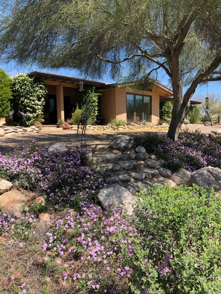 Top-rated yard cleanup service in Tucson, AZ - Cherry Landscape