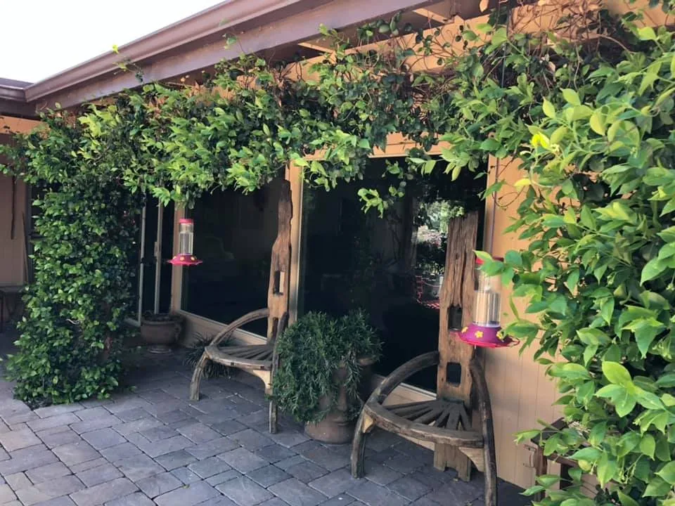 Expert outdoor landscaping with custom design across Tucson, AZ - Cherry Landscape