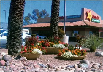 Local landscaping services with custom design in Tucson, AZ by Cherry Landscape