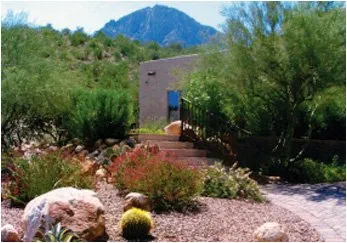 Professional yard cleanup service near you in Tucson, AZ by Cherry Landscape