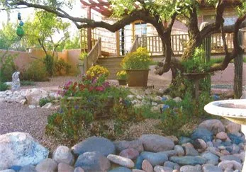 Reliable outdoor landscaping for beautiful yards across Tucson, AZ - Cherry Landscape