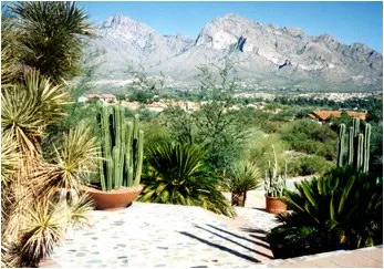 Top-rated yard cleanup service for beautiful yards in Tucson, AZ by Cherry Landscape