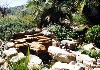 Professional outdoor landscaping in Tucson, AZ - Cherry Landscape