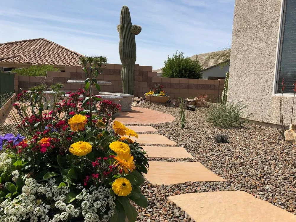 Trusted yard cleanup service in Tucson, AZ - Cherry Landscape