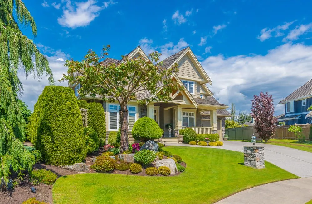 Professional outdoor landscaping in Hayward, CA - Cherry Landscaping