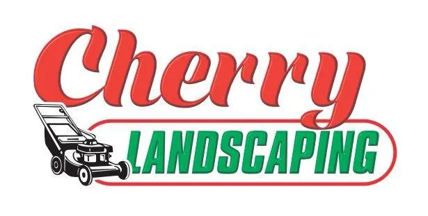 Top-rated yard cleanup service for outdoor upgrades across Hayward, CA - Cherry Landscaping