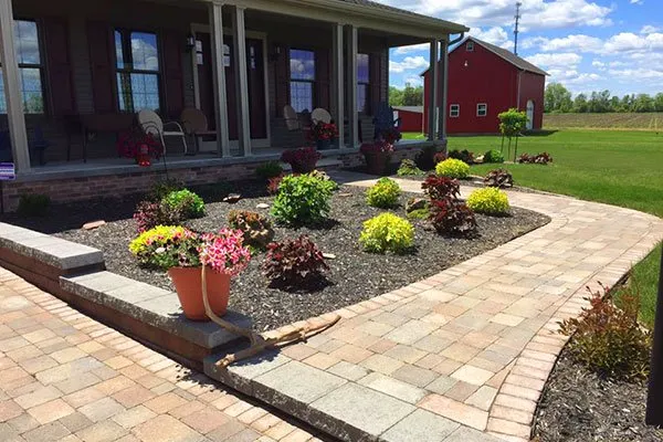 Reliable lawn care service experts serving Hayward, CA - Cherry Landscaping