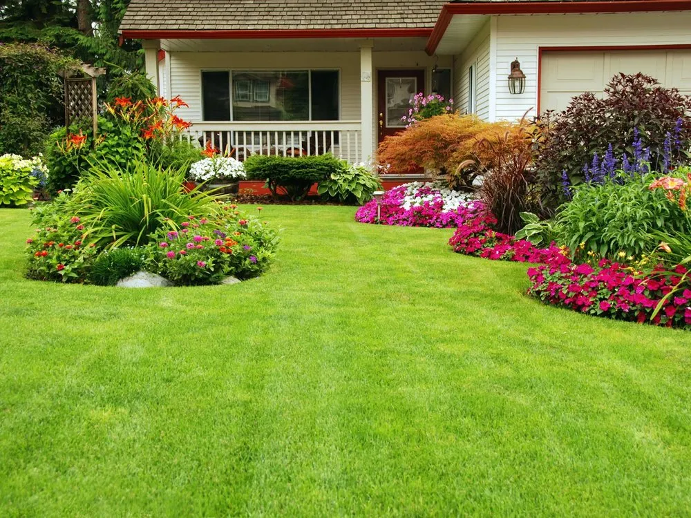 Professional garden landscaping in Hayward, CA - Cherry Landscaping