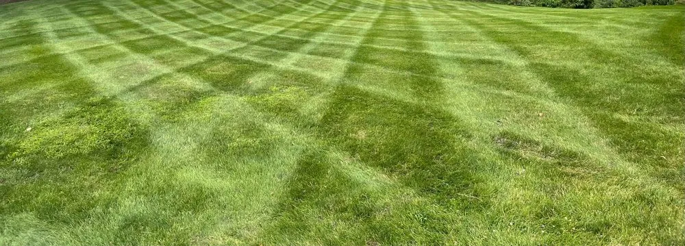 Reliable yard maintenance in Northampton, PA - Cherry Lawn and Landscape