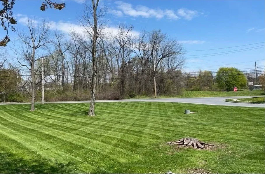 Local landscaping services experts serving Northampton, PA - Cherry Lawn and Landscape