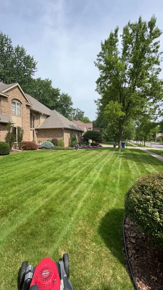 Expert yard cleanup service in Midland, MI by Cherry Lawn Care