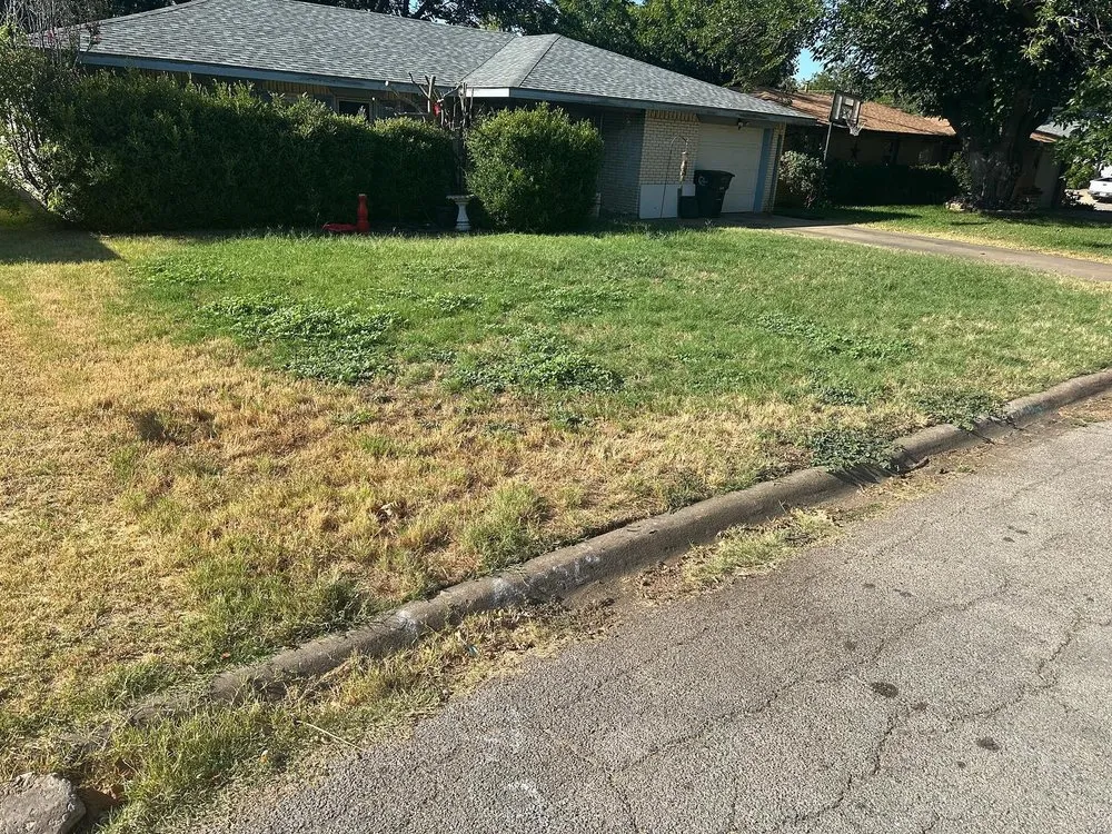 Custom lawn mowing service for homes in Keene, TX by Cherry Services