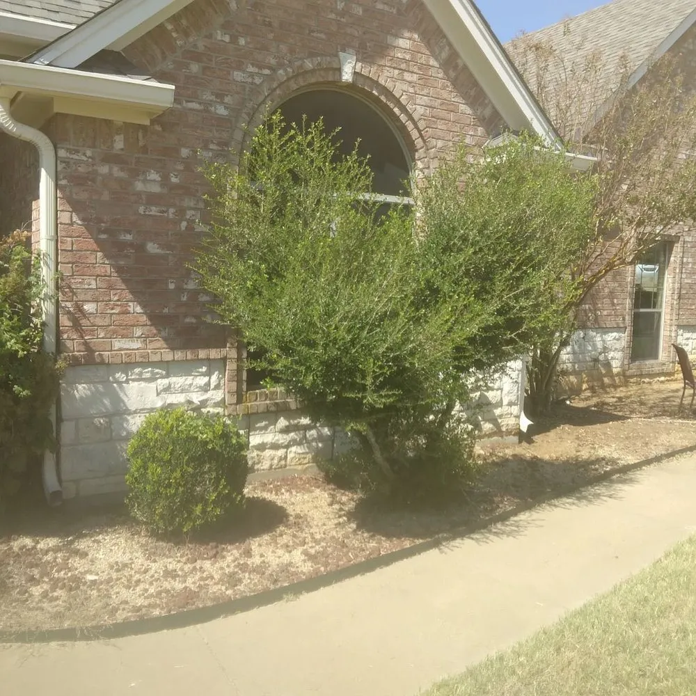 Custom lawn mowing service in Keene, TX - Cherry Services