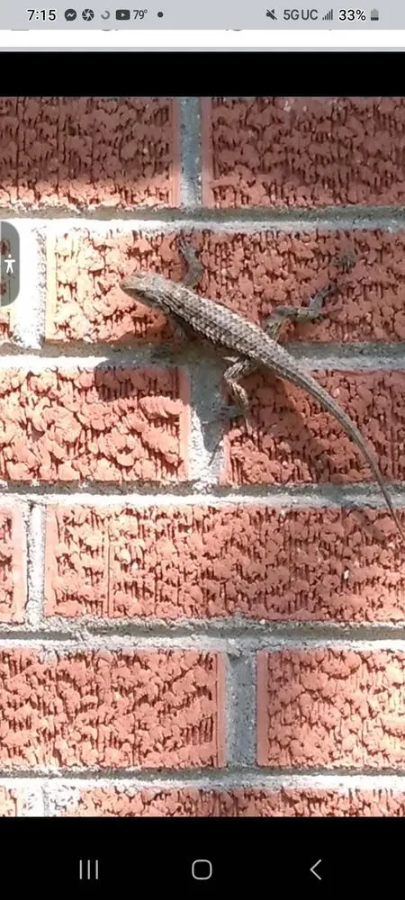 Affordable landscape design for homes in Jacksboro, TX by Cherryhomes Lawn Care Service