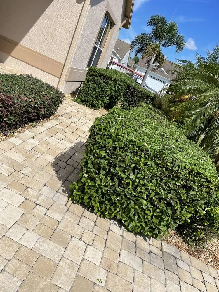 Local lawn care service for homes in Leesburg, FL by Cherry’s Discount Tree and Landscaping