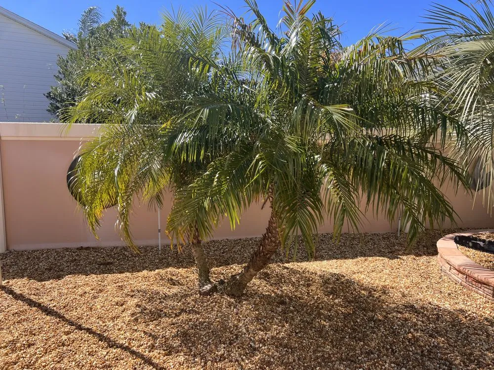 Trusted residential landscaping for beautiful yards in Leesburg, FL by Cherry’s Discount Tree and Landscaping