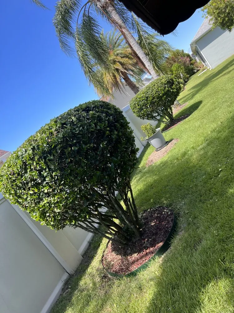 Trusted landscape installation for beautiful yards in Leesburg, FL by Cherry’s Discount Tree and Landscaping