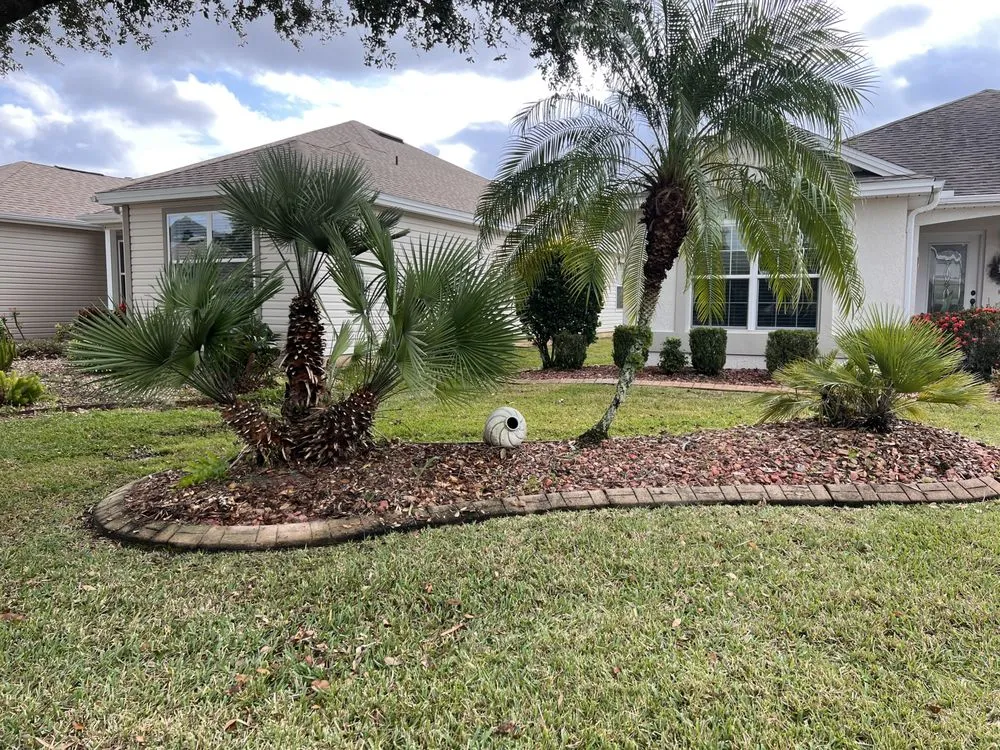 Professional lawn mowing service in Leesburg, FL - Cherry’s Discount Tree and Landscaping