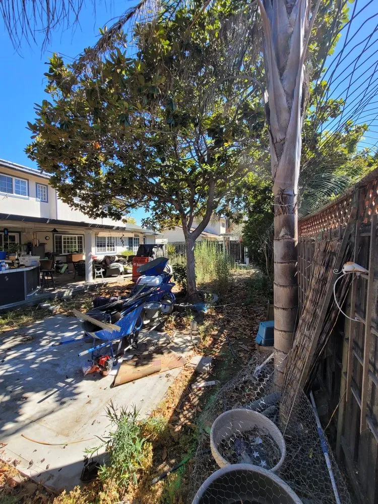 Local lawn care service in Santa Clara, CA by Cherrywood Landscaping