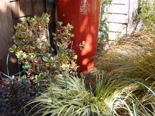 Top-rated garden landscaping in Alameda, CA - Cheryl Hawkins Landscaping