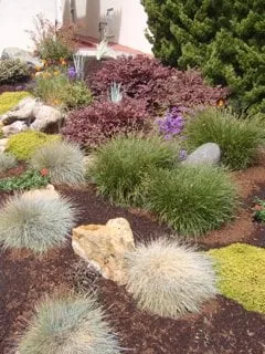 Expert landscape design near you across Alameda, CA - Cheryl Hawkins Landscaping
