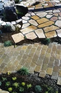 Expert yard cleanup service for residential properties in Alameda, CA by Cheryl Hawkins Landscaping