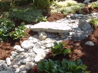 Professional landscape installation for year-round maintenance in Alameda, CA by Cheryl Hawkins Landscaping